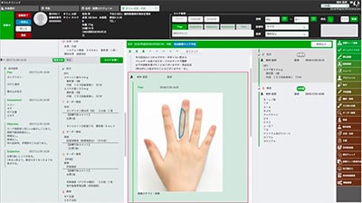 きりんカルテについて